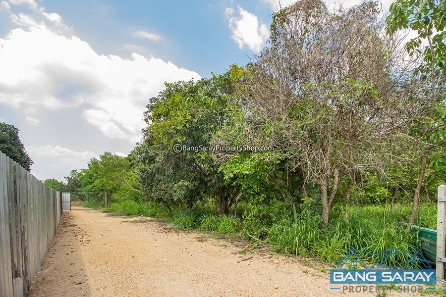 Land for Sale in Soi Silver Lake vineyard, Corner Plot  ที่ดิน  สำหรับขาย