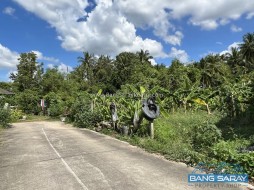ขายที่ดิน 1 ไร่ หนองปลาไหล ใกล้ถนนเส้น 36 เพียง 100 ม. - ที่ดินสำหรับขายในหนองปลาไหล, เมืองพัทยา