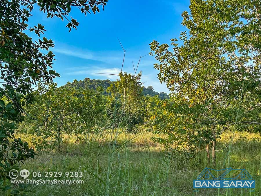 53 Sqw. of Land for Sale near 332 Road. ที่ดิน  สำหรับขาย