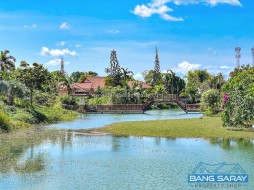 ขายที่ดิน 317 ตรว. หนองจับเต่า ใกล้เขาชีจรรย์ - ที่ดินสำหรับขายในหนองจับเต่า, นาจอมเทียน