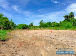 ที่ดินฝั่งทะเล ซ.ข้างอนามัย ทำเลใจกลางบางเสร่ - ที่ดินสำหรับขายในบางเสร่, นาจอมเทียน