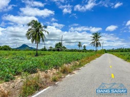 1 Rai 100 Sqw  Plot Of Land For Sale In Bang Saray Eastside  - ที่ดินสำหรับขายในบางเสร่, นาจอมเทียน
