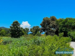 1 Rai 100 Sqw  Plot Of Land For Sale In Bang Saray Eastside  - ที่ดินสำหรับขายในบางเสร่, นาจอมเทียน
